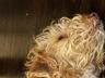 Cash sleeping