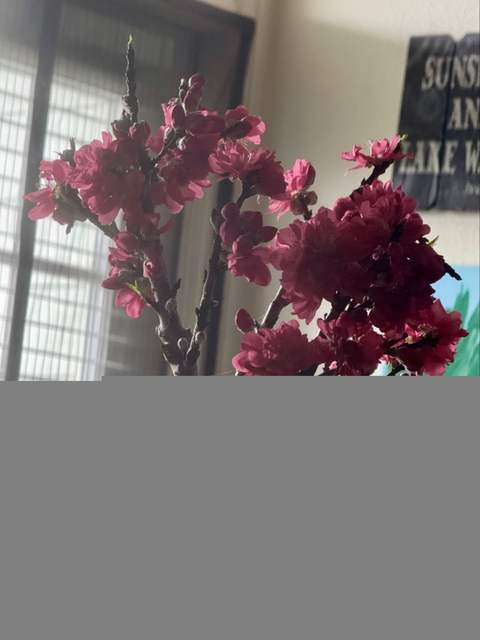 Full bloom one day later