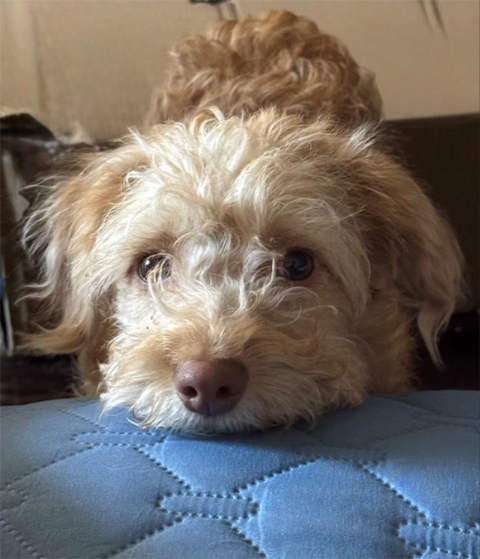 Cash is looking for food