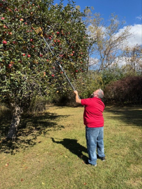 First time apple picking