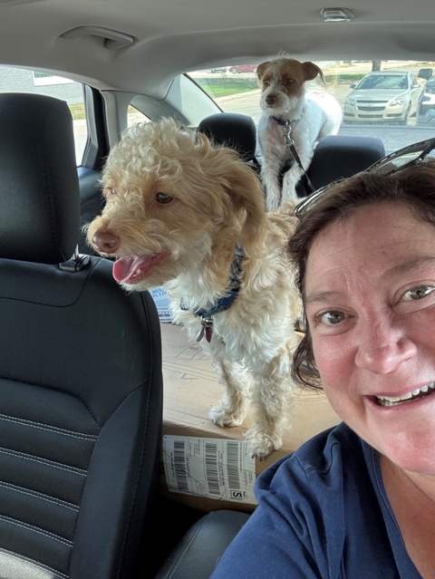 Me and the Pups Checking out the town