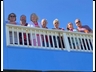 The Gang on the Balcony