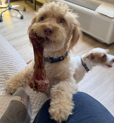 Bone Bigger Than Cash