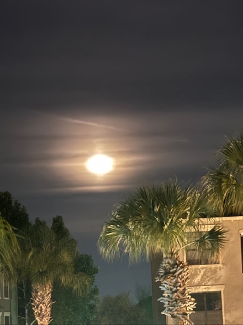 Super moon from my balcony