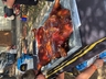 Pig roast